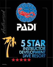 5StarIDDR Web